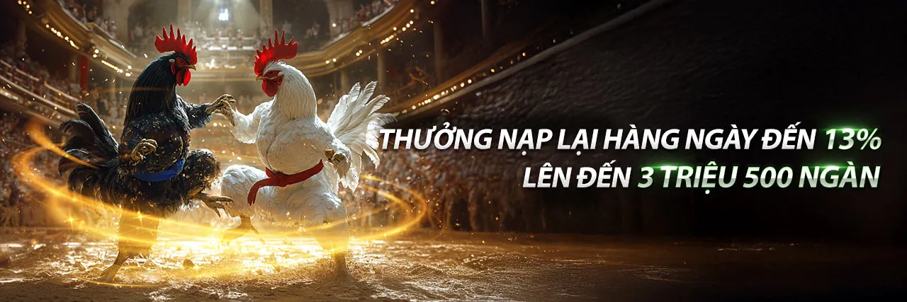 Đá gà kịch tính tại pkvip88 link mới